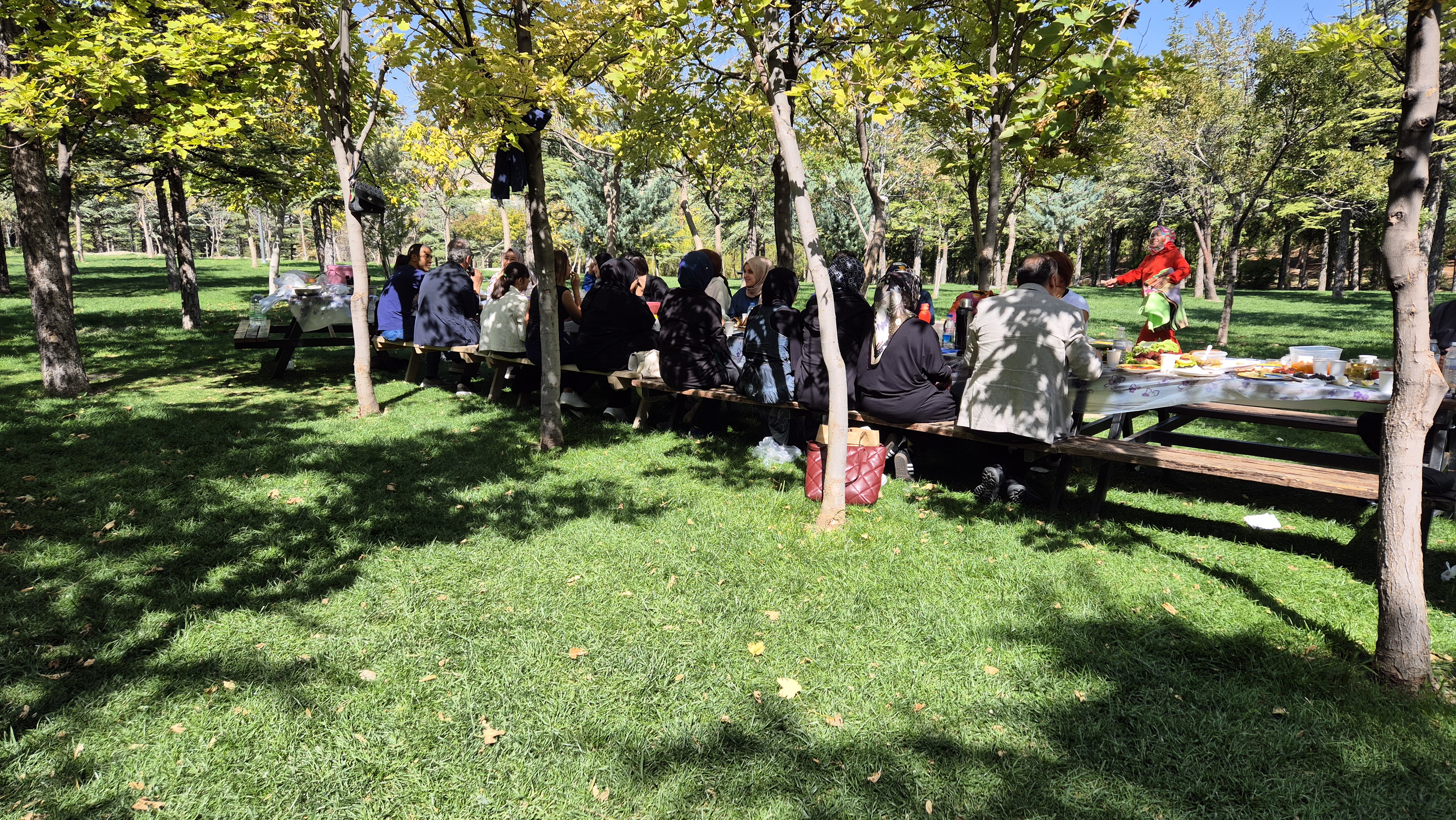 Faaliyet Fotoğrafı