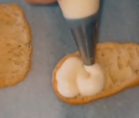 Faaliyet Fotoğrafı