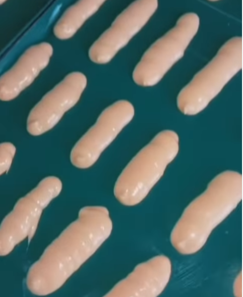 Faaliyet Fotoğrafı