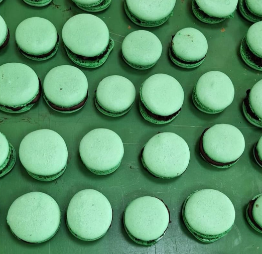 Faaliyet Fotoğrafı