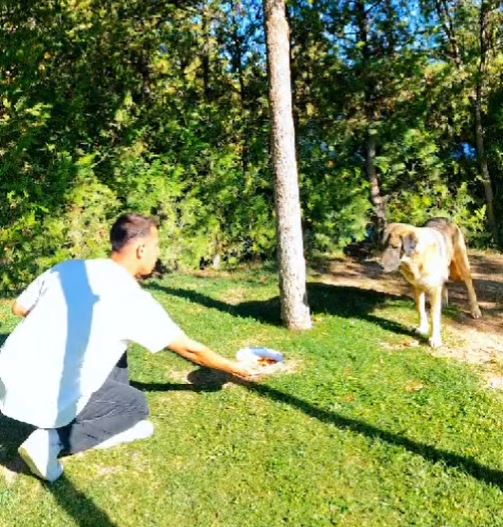 Faaliyet Fotoğrafı