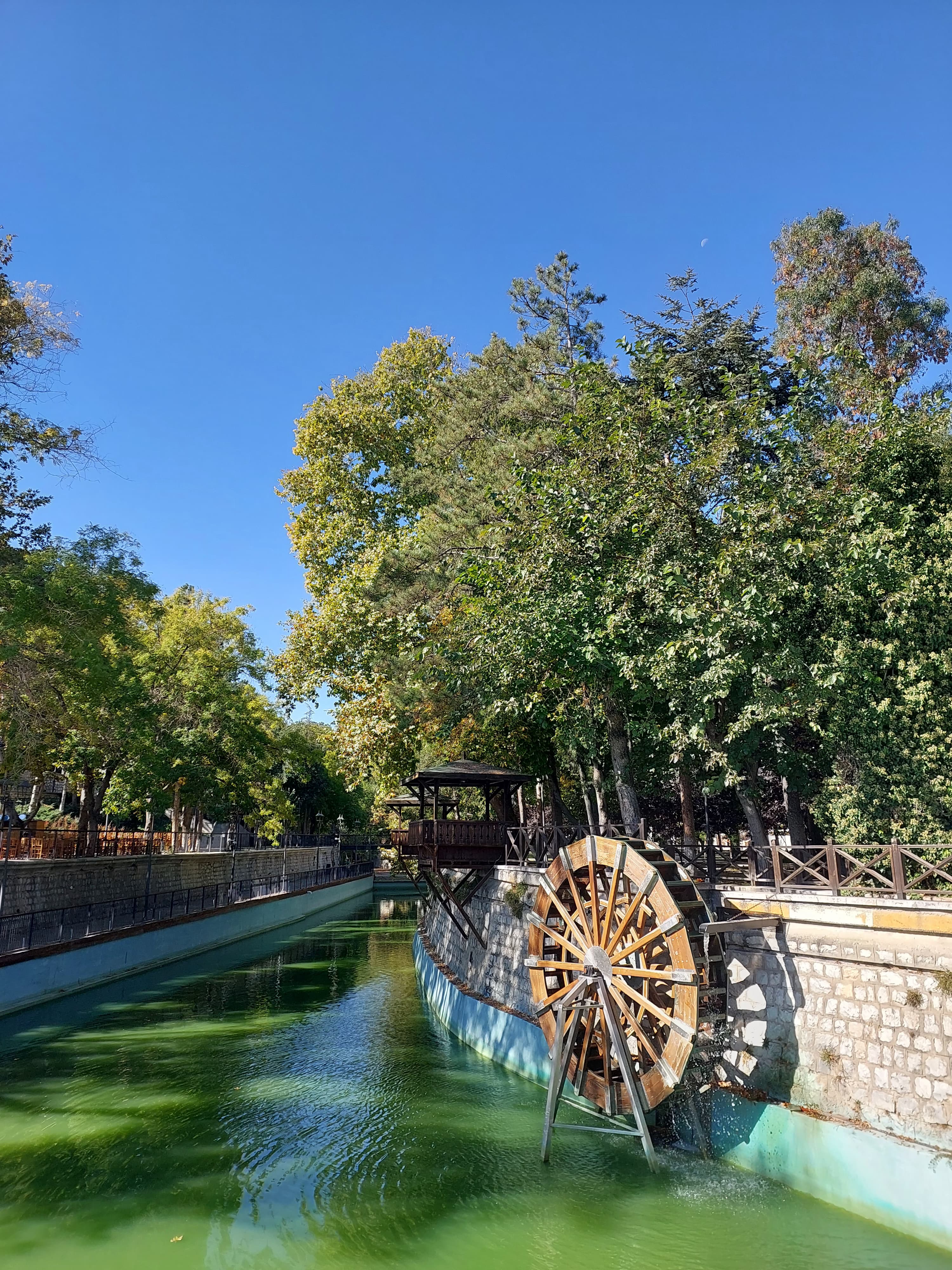 Faaliyet Fotoğrafı