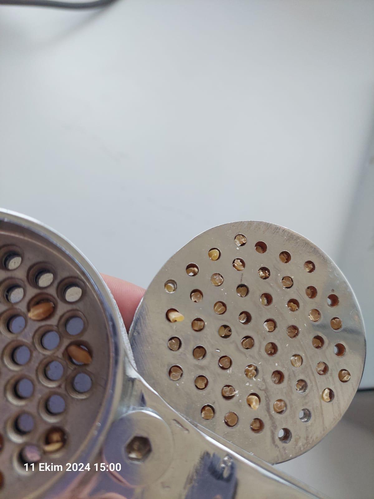 Faaliyet Fotoğrafı