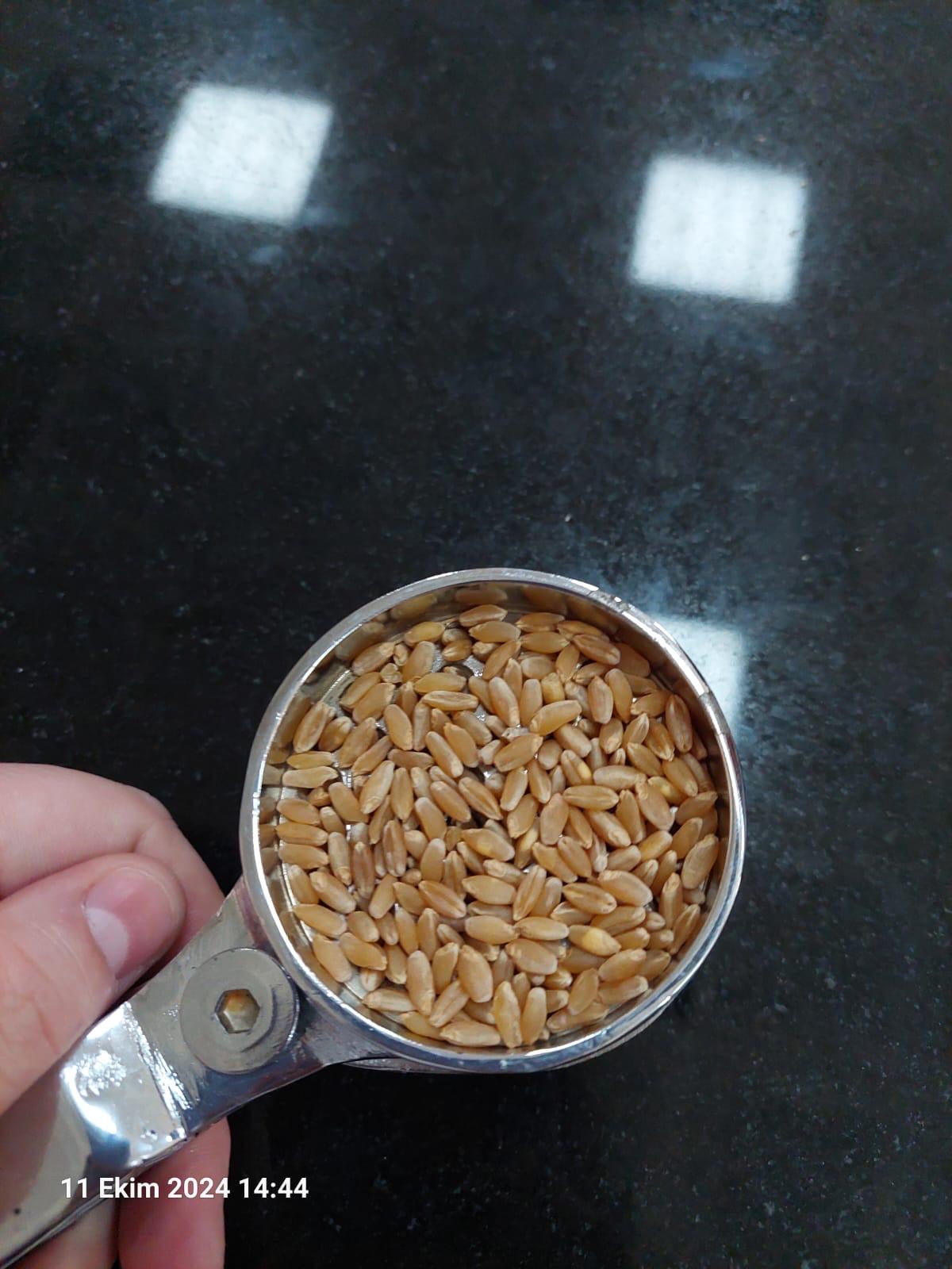 Faaliyet Fotoğrafı