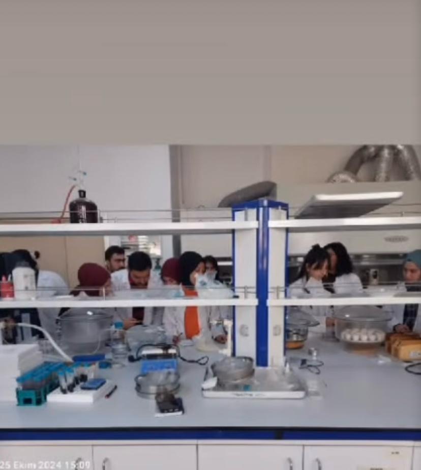 Faaliyet Fotoğrafı