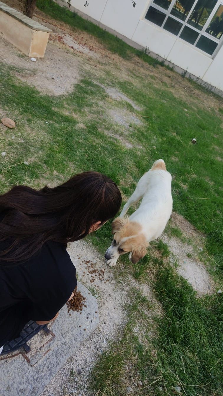 Faaliyet Fotoğrafı