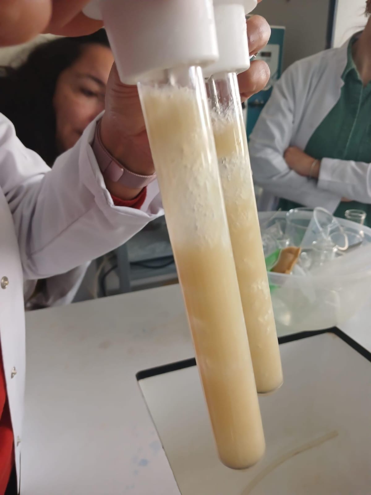 Faaliyet Fotoğrafı