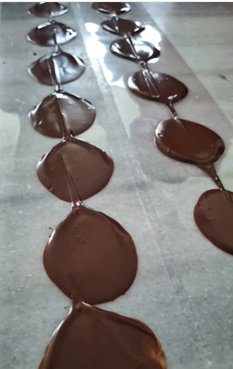 Faaliyet Fotoğrafı