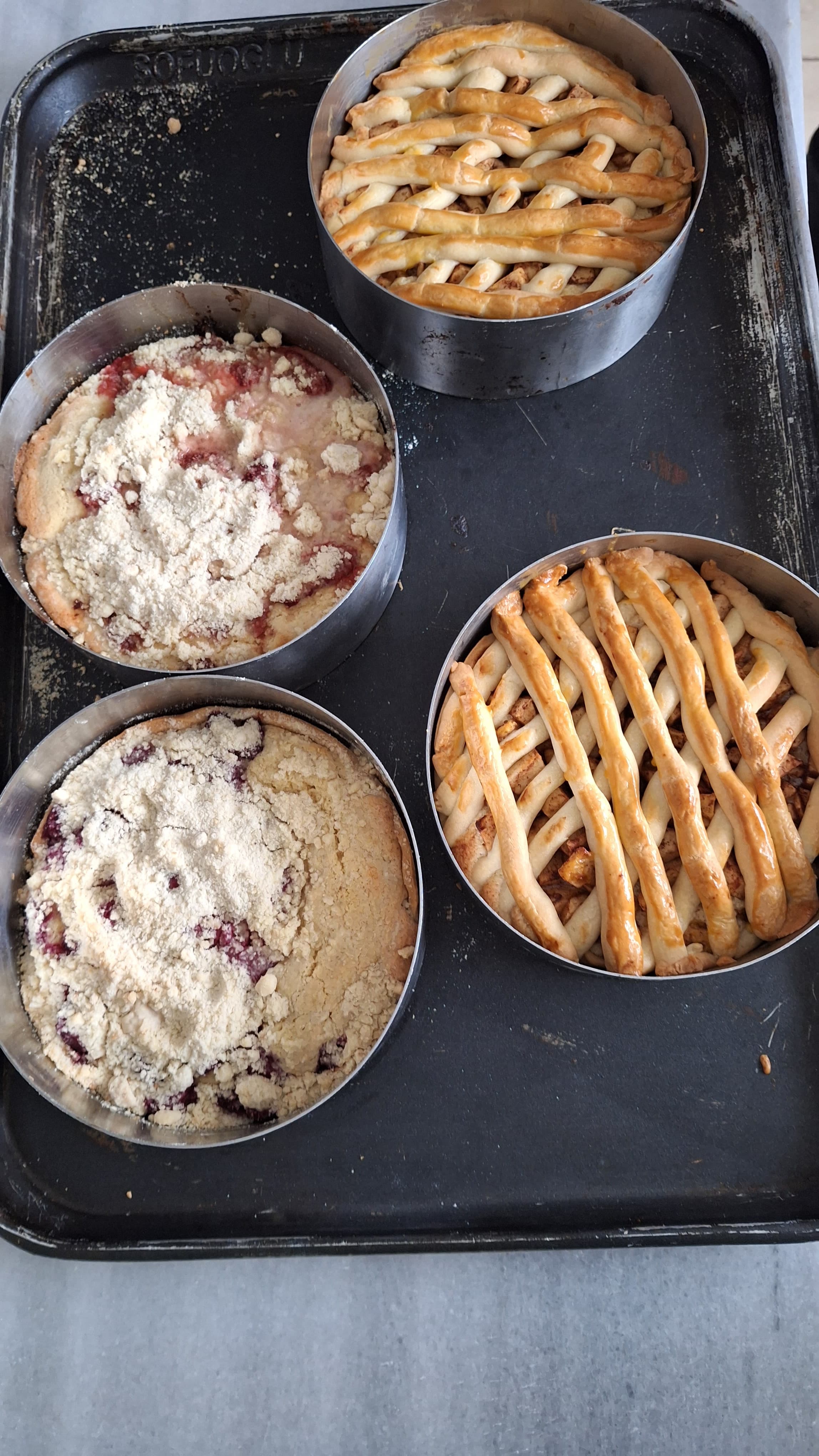 Faaliyet Fotoğrafı