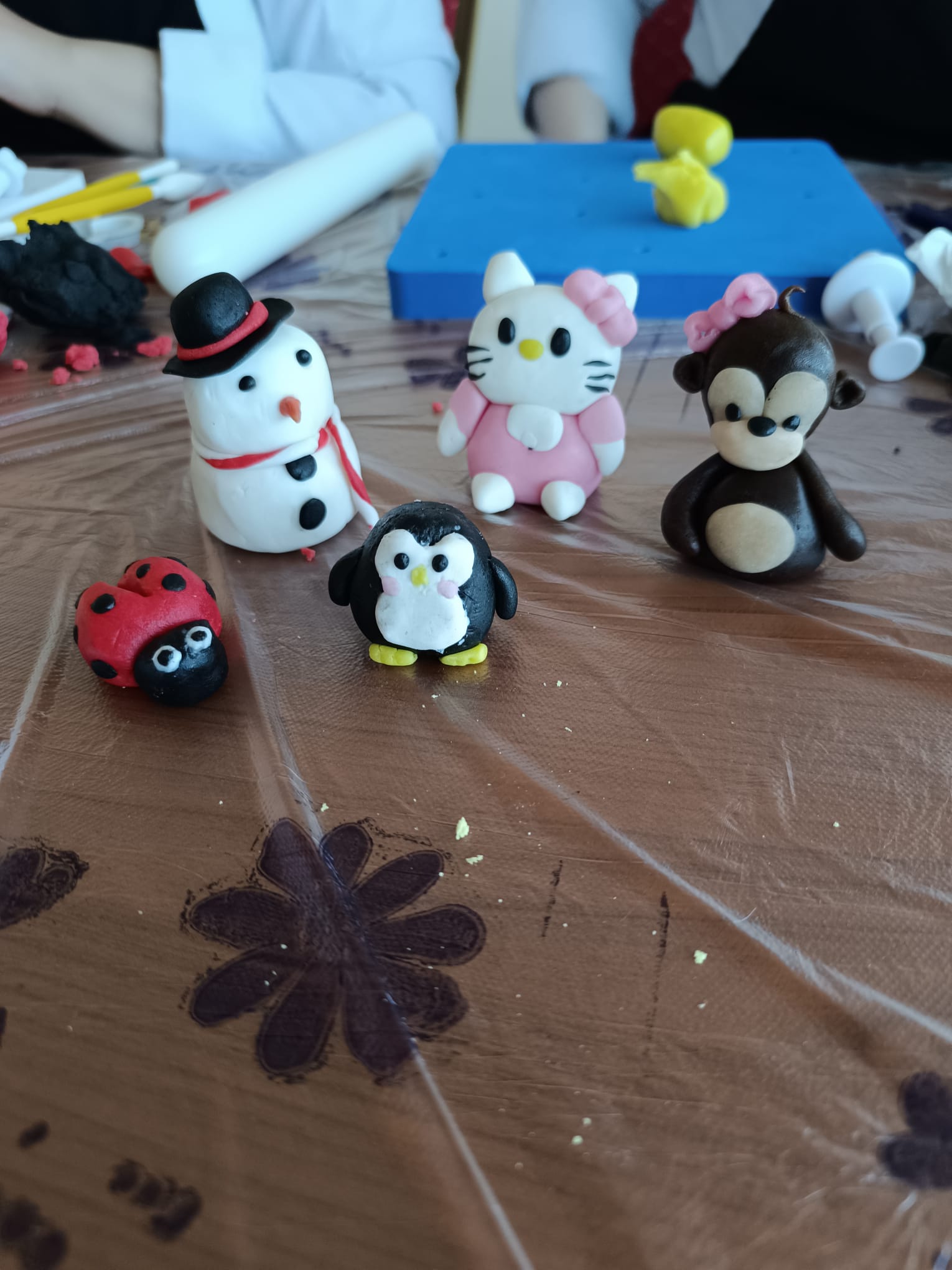 Faaliyet Fotoğrafı