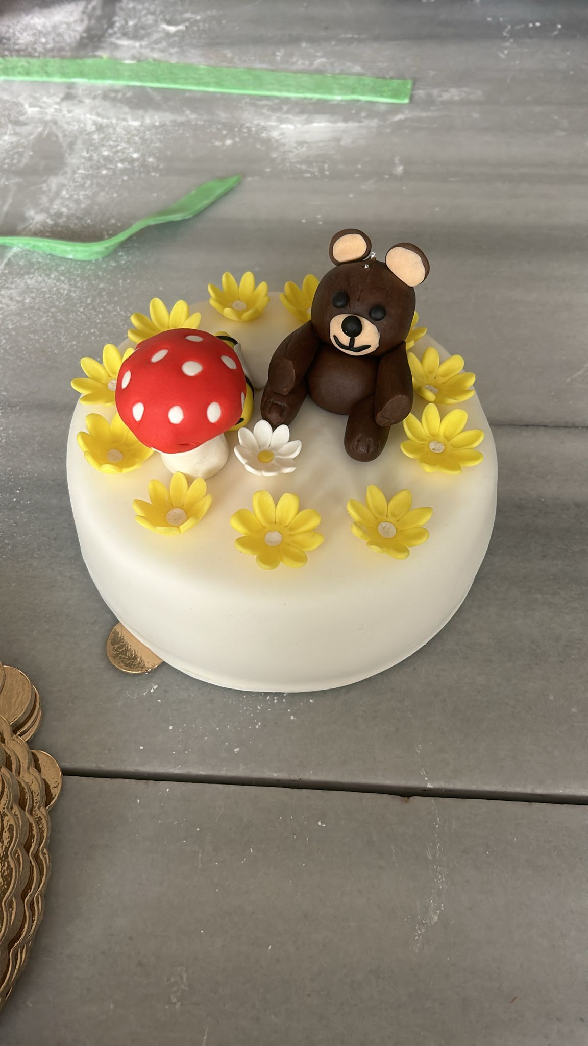 Faaliyet Fotoğrafı