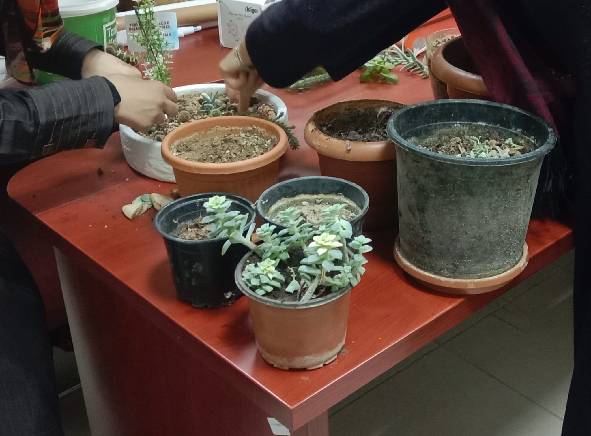 Faaliyet Fotoğrafı