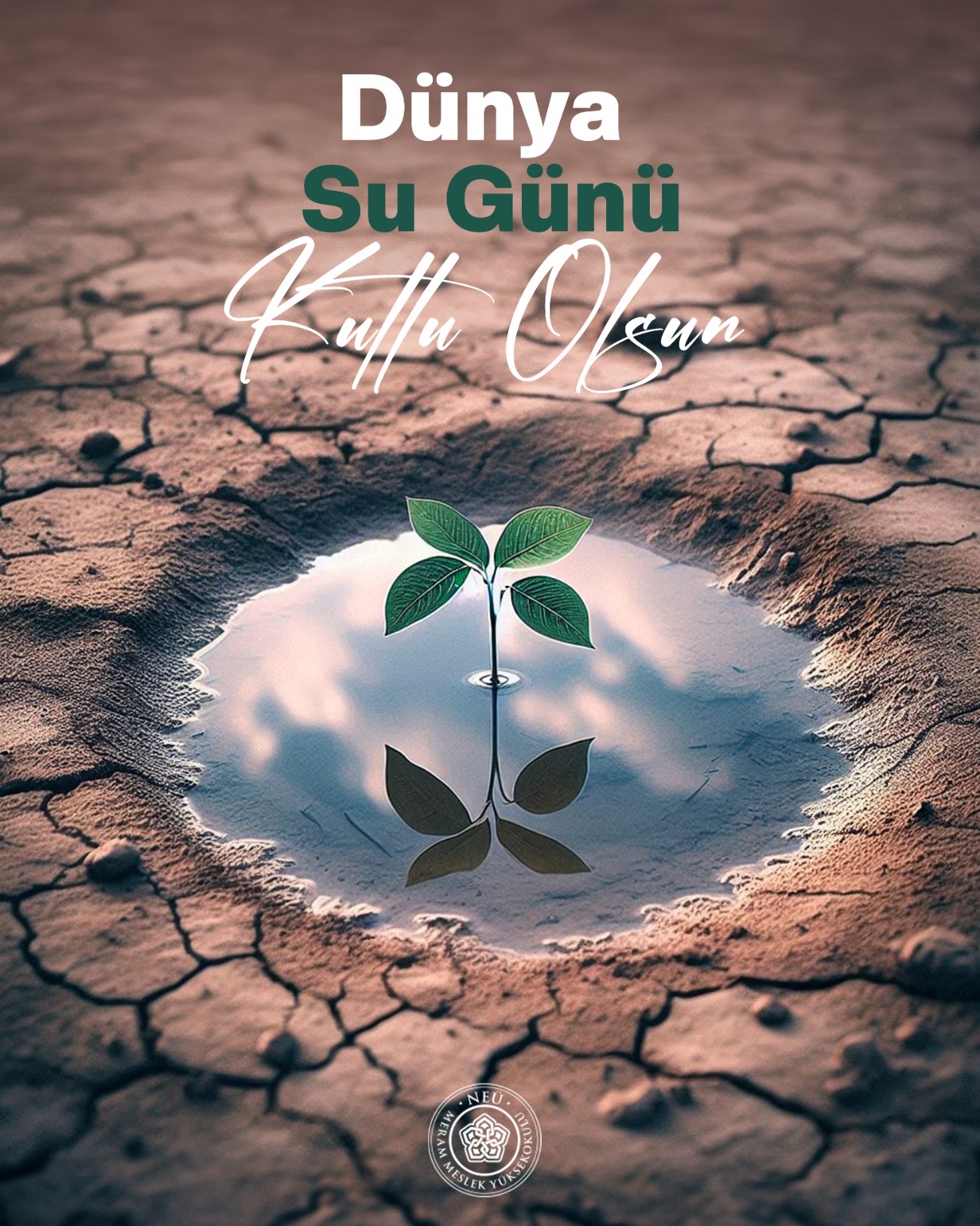 Faaliyet Fotoğrafı