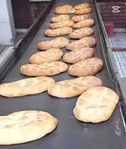 Faaliyet Fotoğrafı