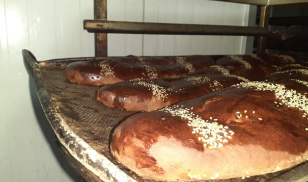 Faaliyet Fotoğrafı