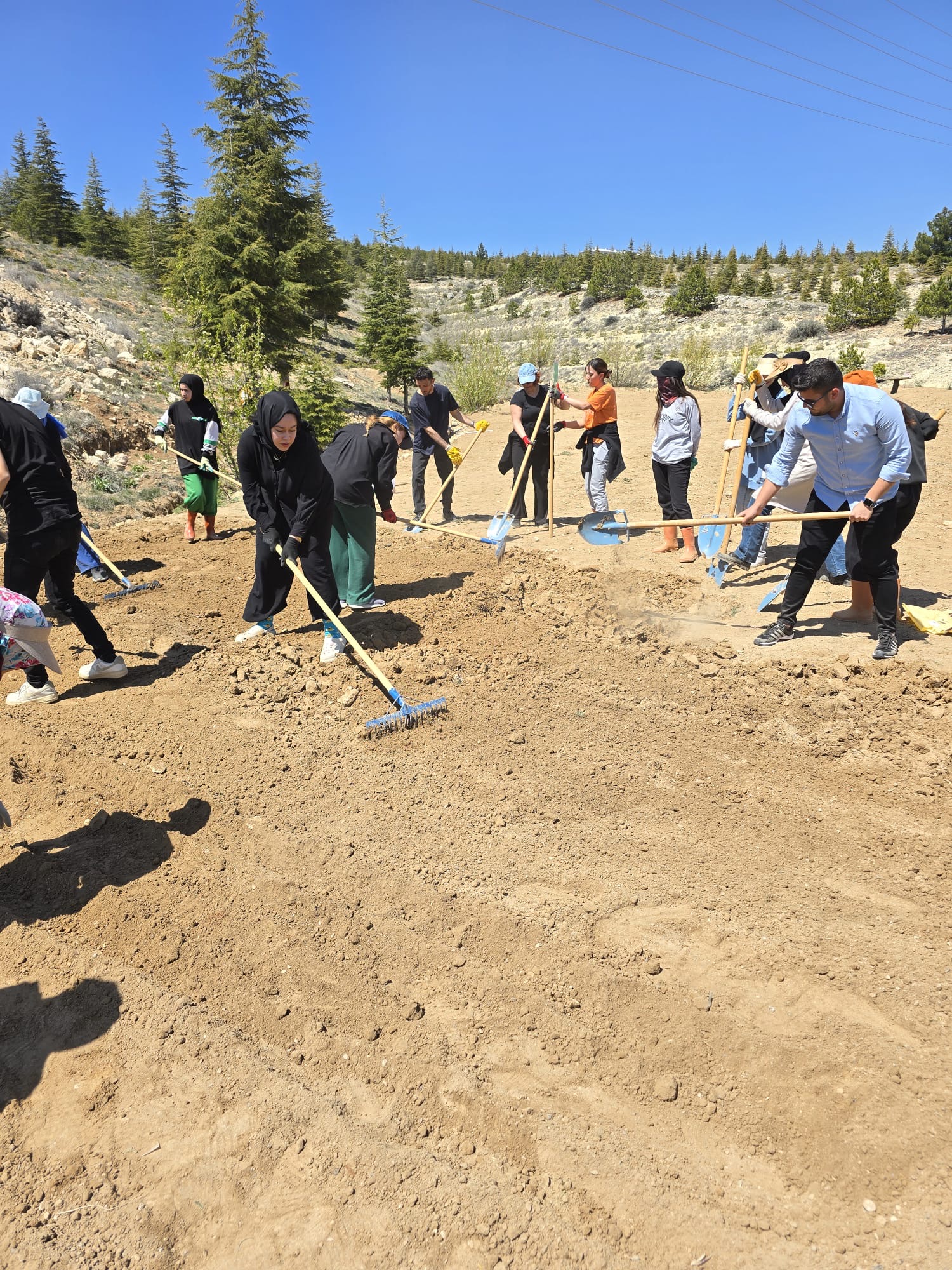 Faaliyet Fotoğrafı