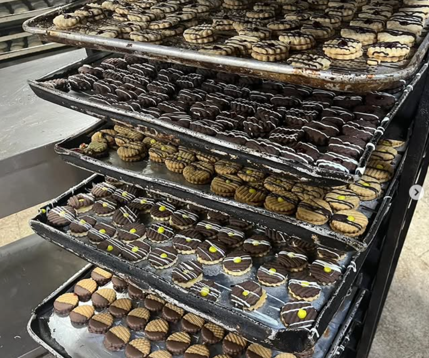 Faaliyet Fotoğrafı