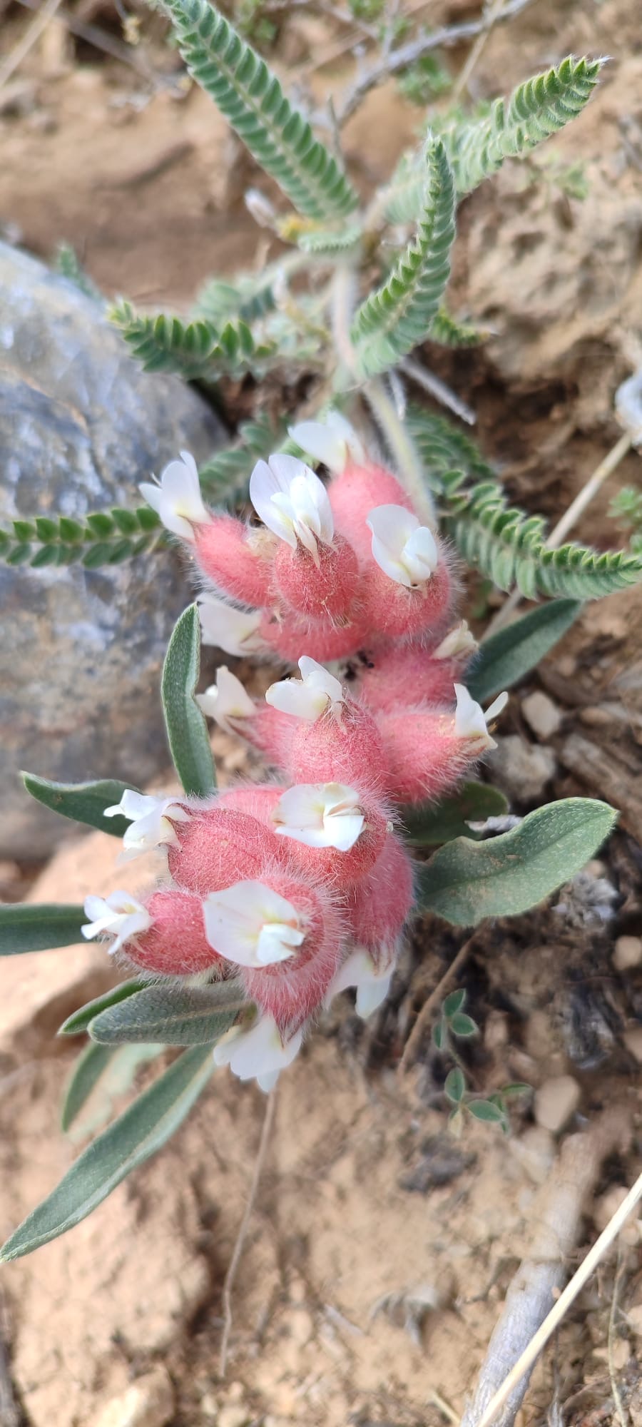 Faaliyet Fotoğrafı
