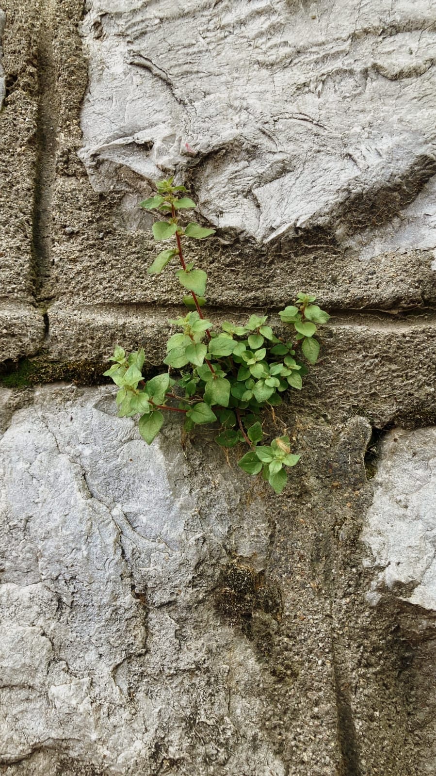 Faaliyet Fotoğrafı