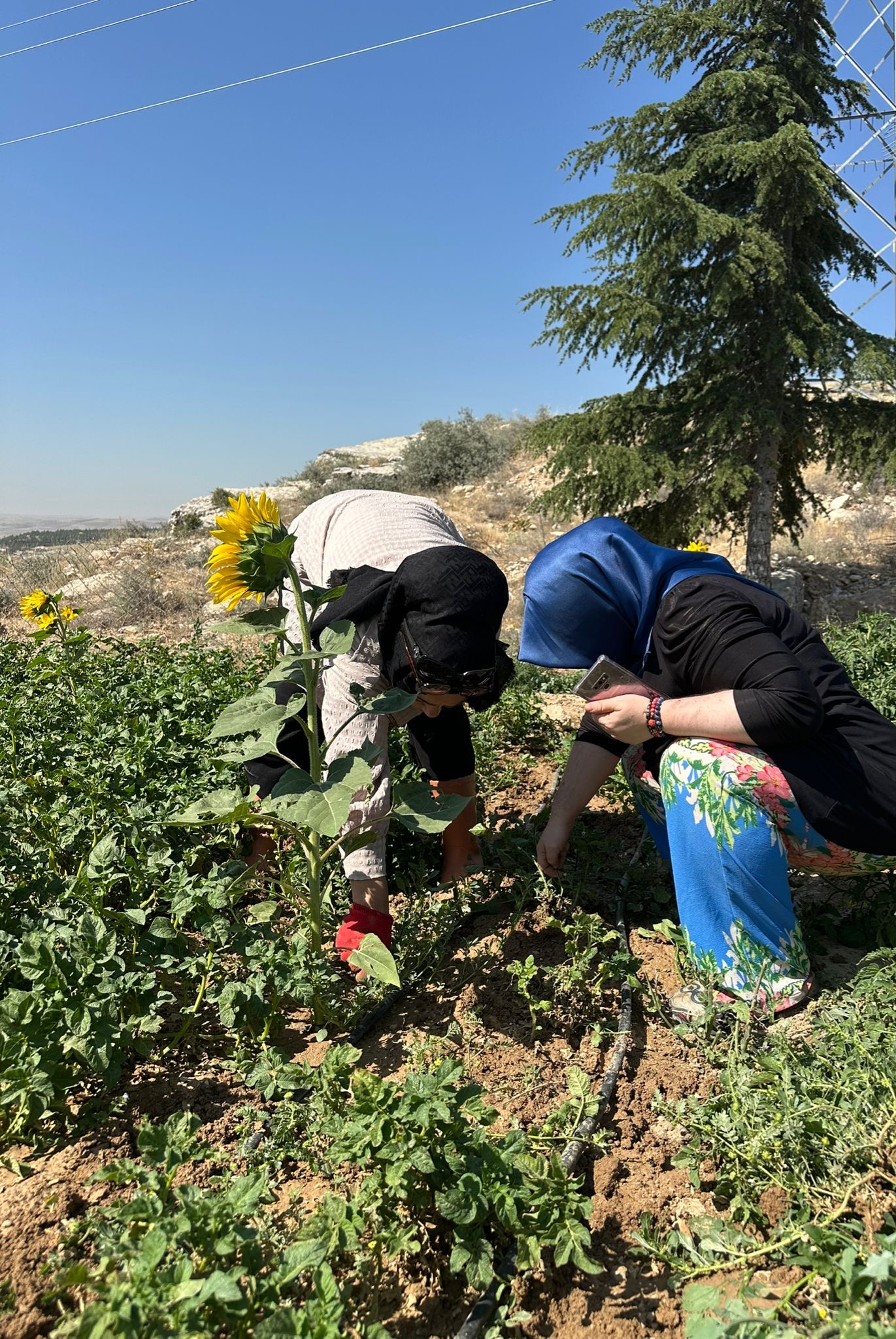 Faaliyet Fotoğrafı