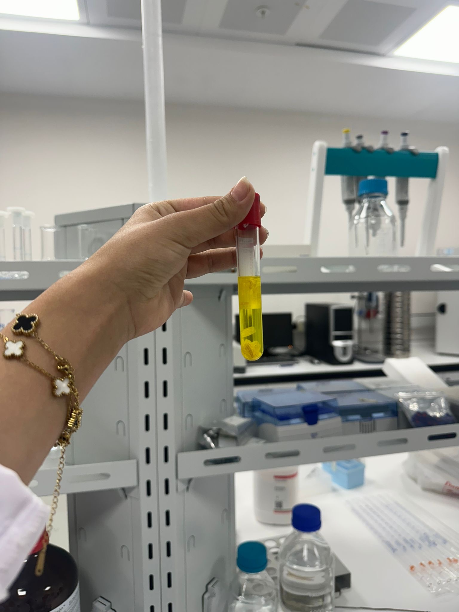 Faaliyet Fotoğrafı