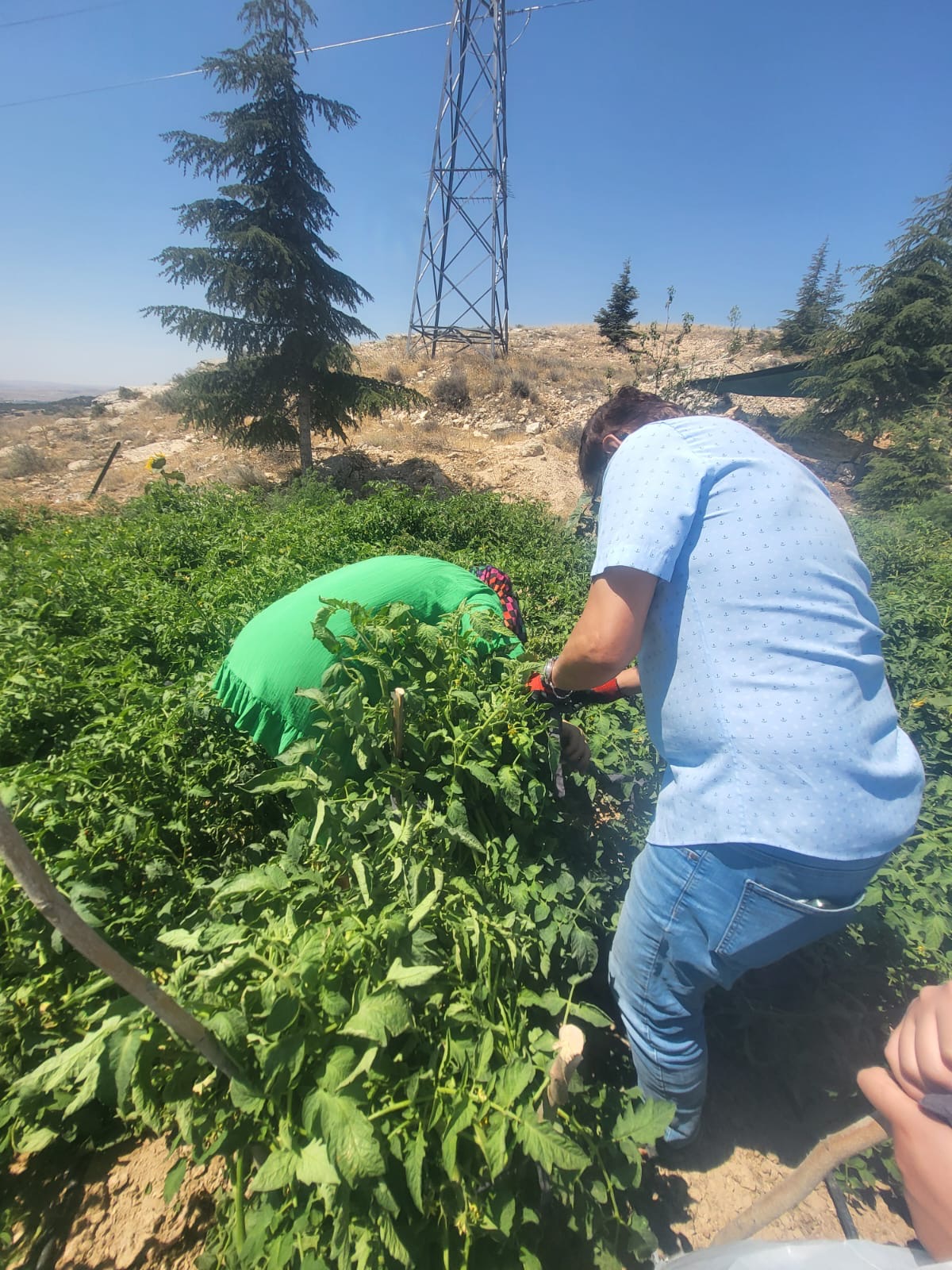 Faaliyet Fotoğrafı