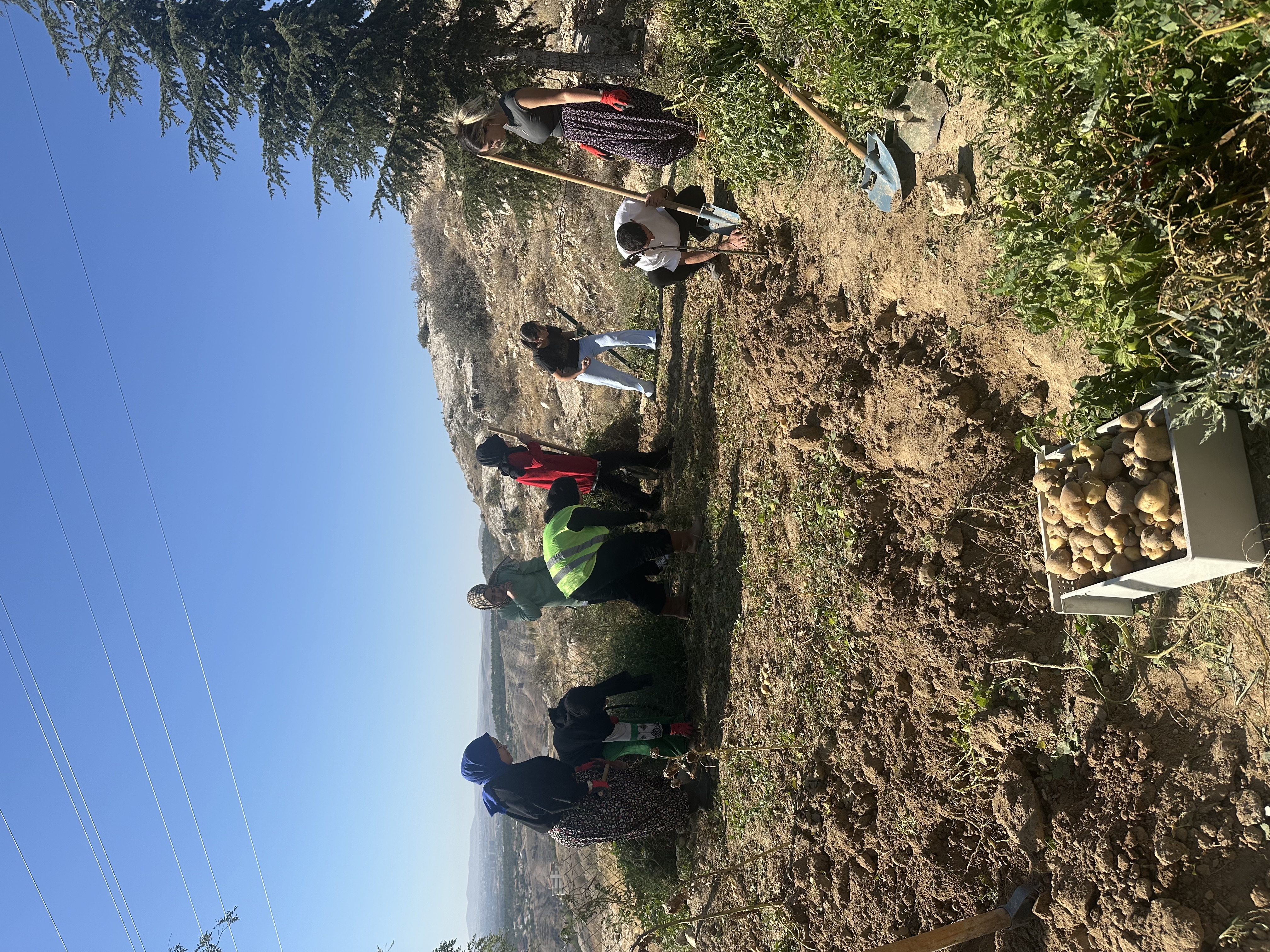 Faaliyet Fotoğrafı