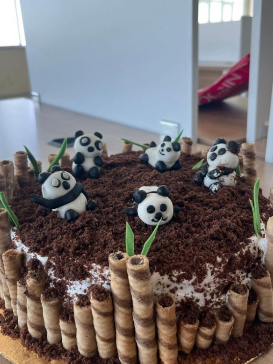 Faaliyet Fotoğrafı