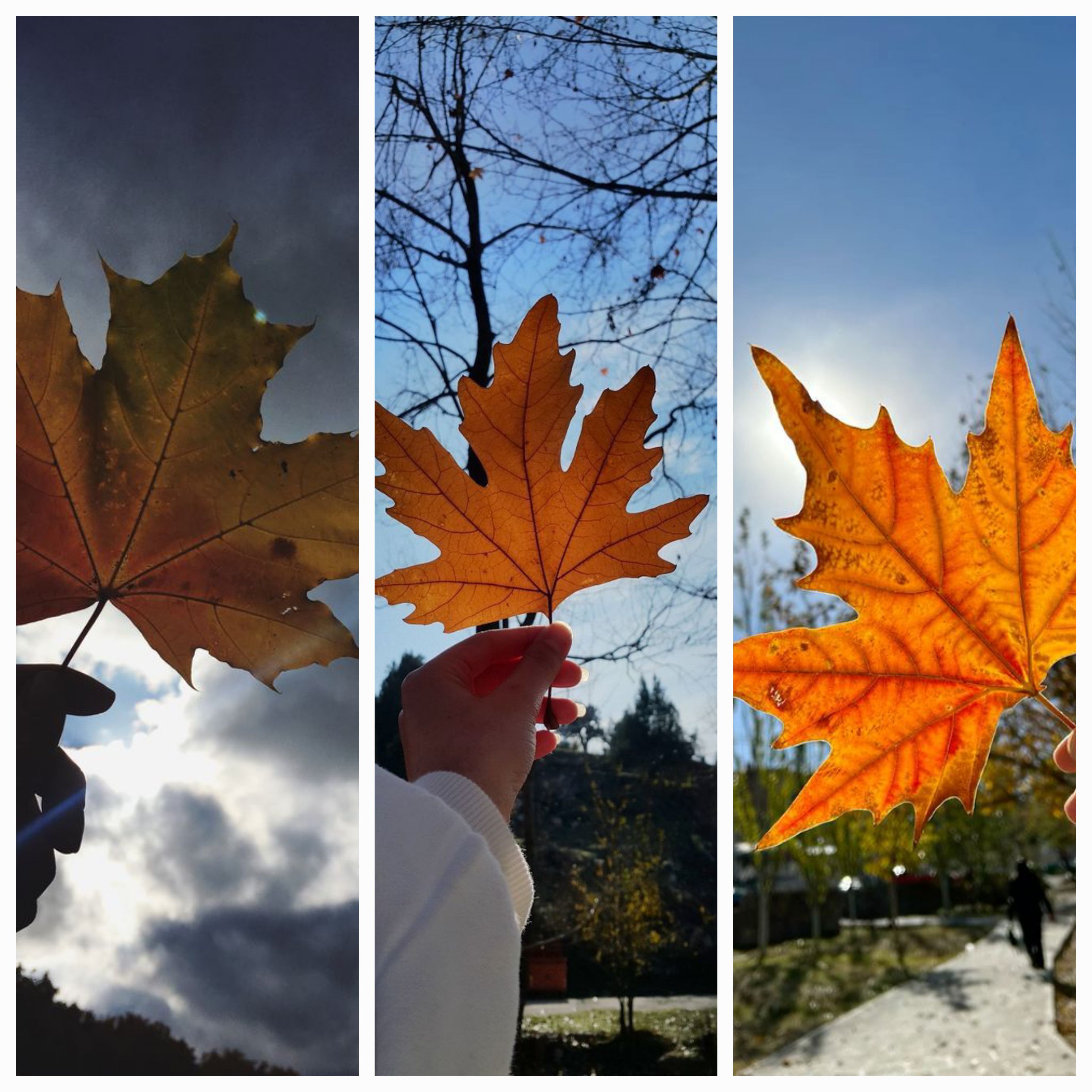 Faaliyet Fotoğrafı