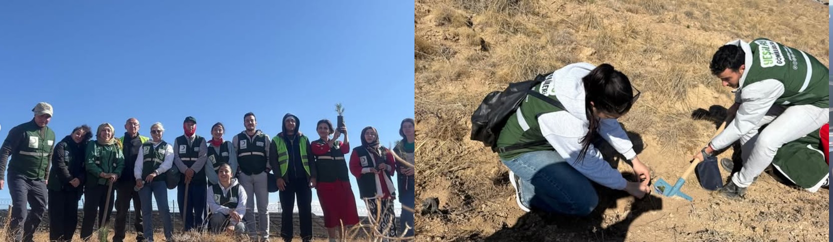 Faaliyet Fotoğrafı