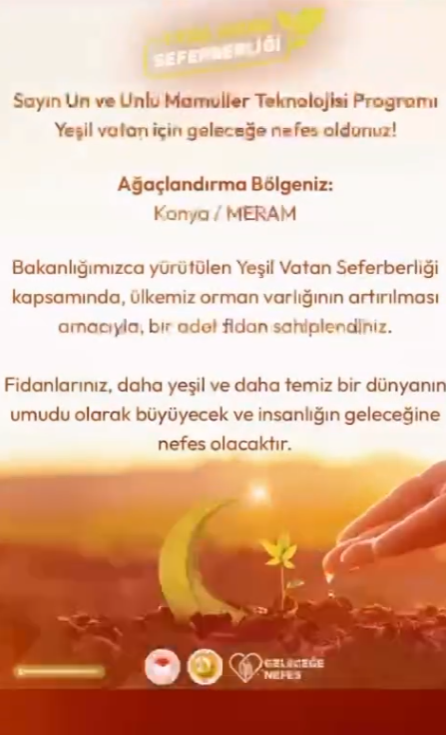 Yerel Faaliyet Fotoğrafı