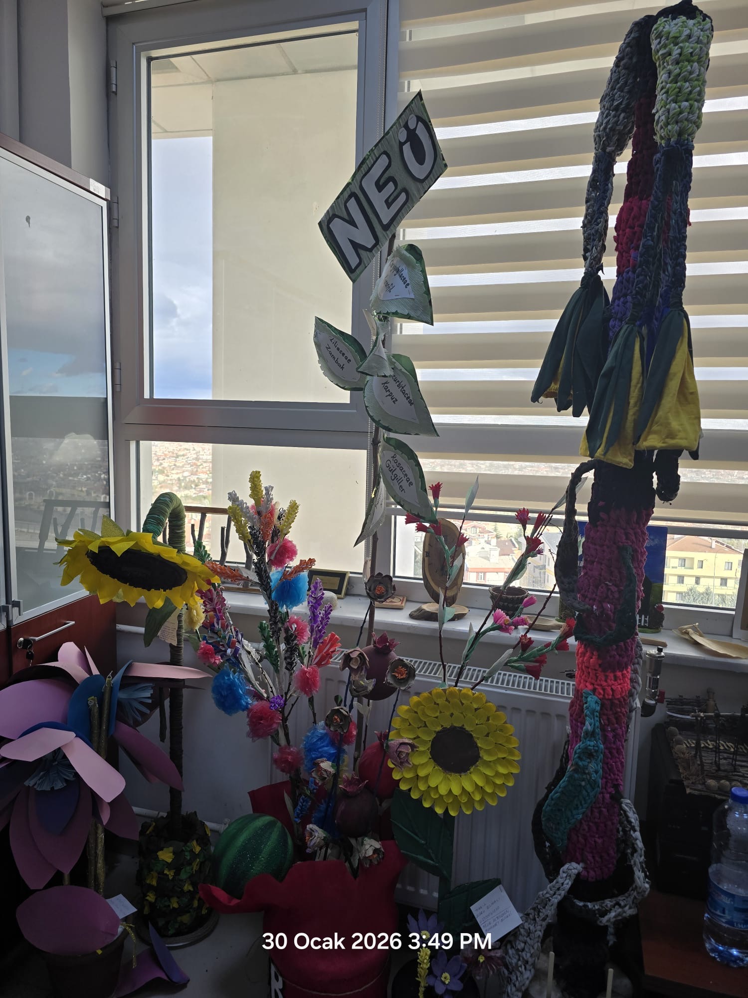 Yerel Faaliyet Fotoğrafı