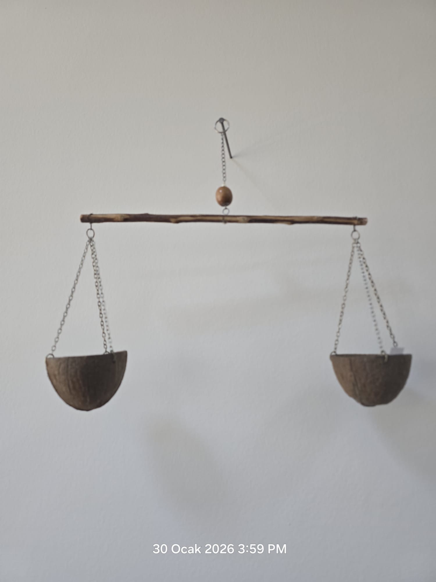 Yerel Faaliyet Fotoğrafı