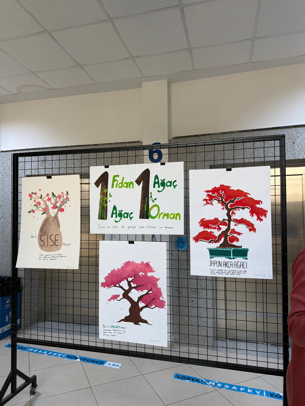 Yerel Faaliyet Fotoğrafı