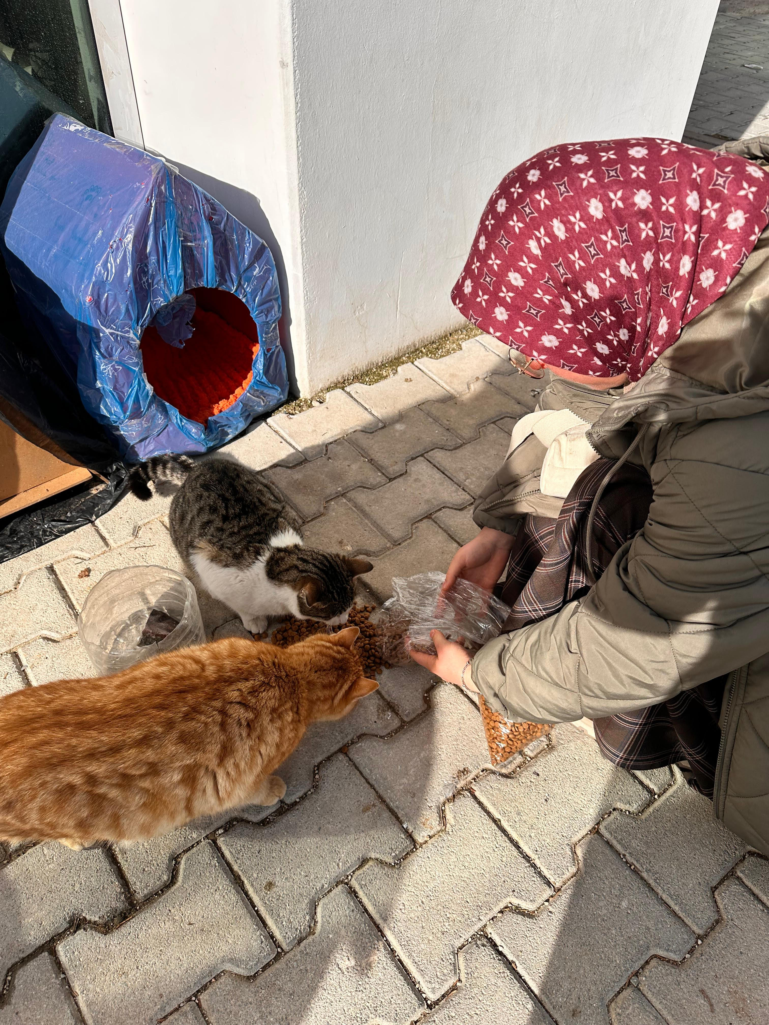 Yerel Faaliyet Fotoğrafı