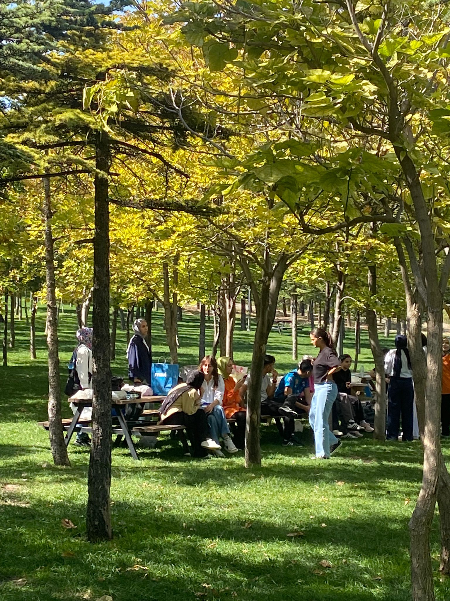 Yerel Faaliyet Fotoğrafı