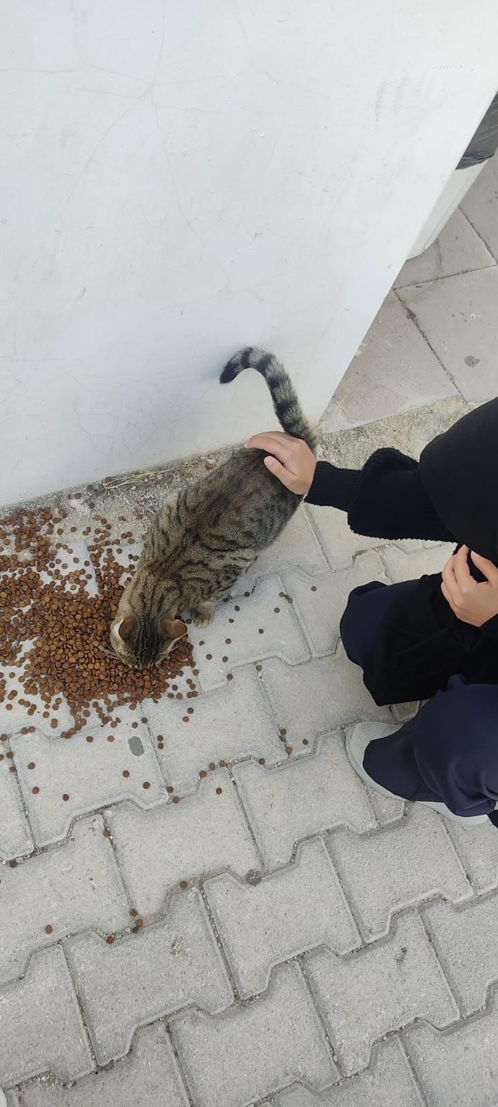 Yerel Faaliyet Fotoğrafı