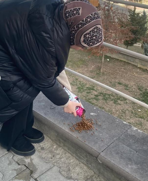 Yerel Faaliyet Fotoğrafı