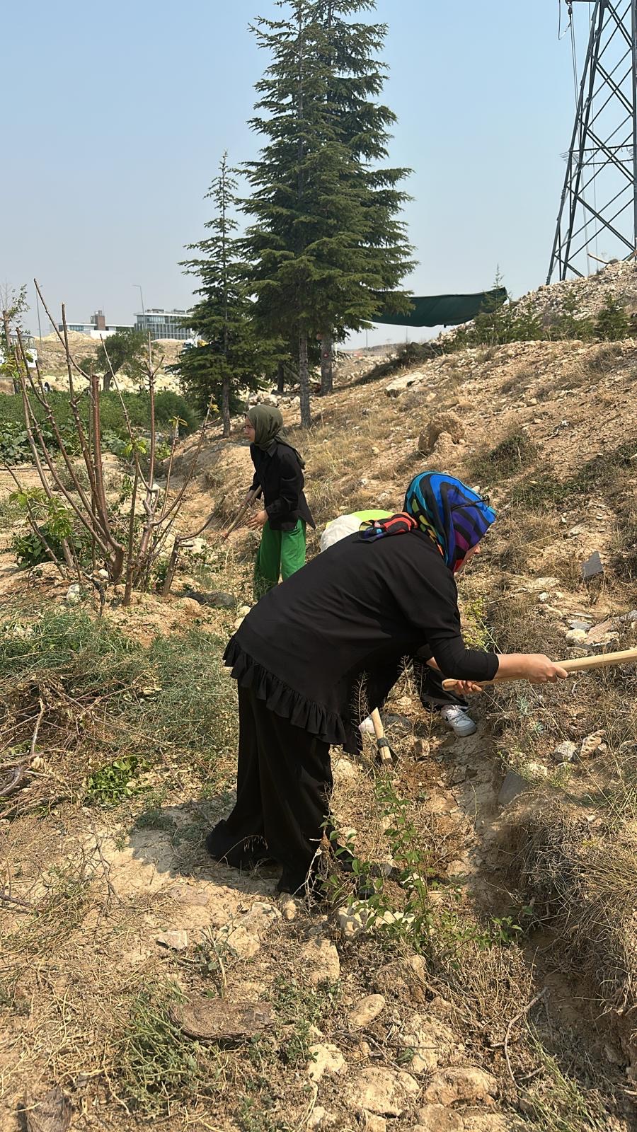 Yerel Faaliyet Fotoğrafı
